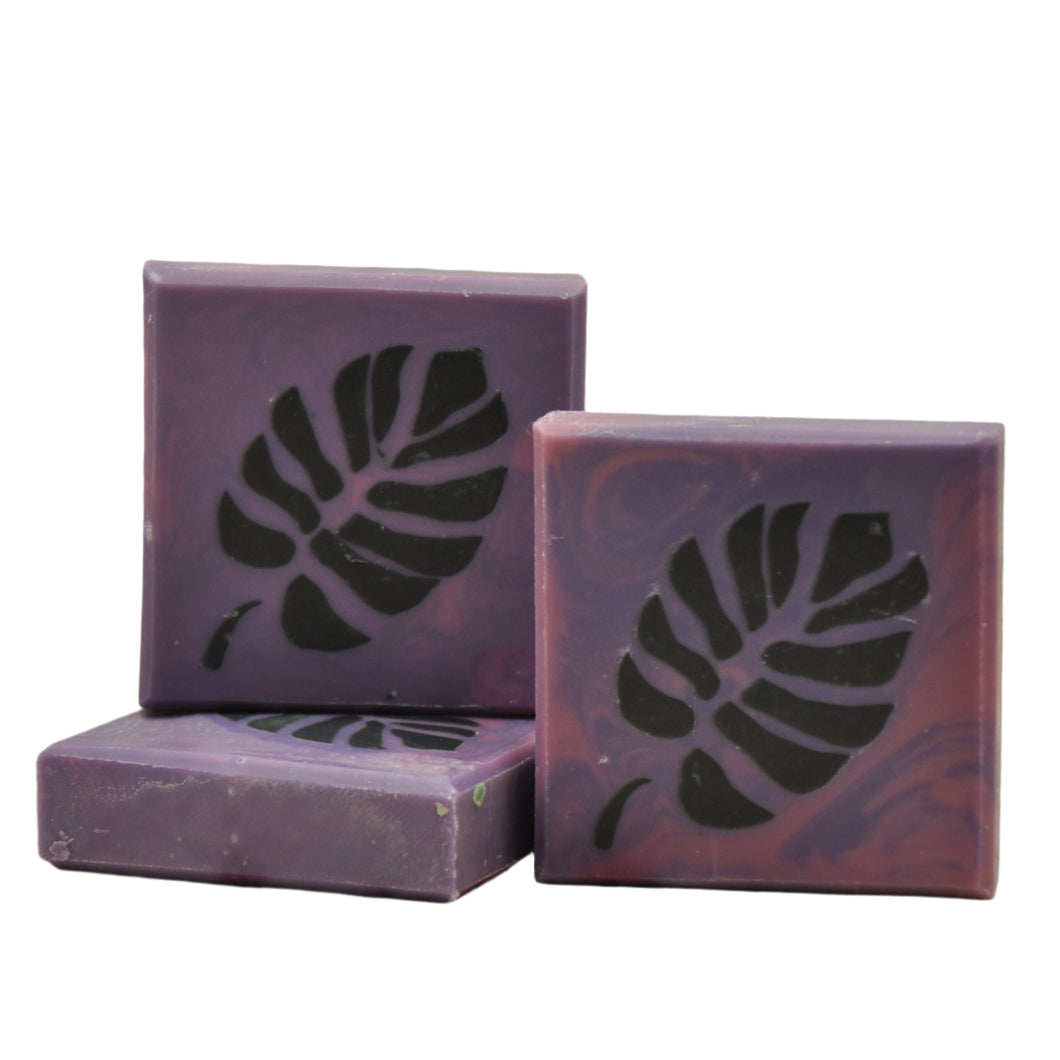 Monstera Soap